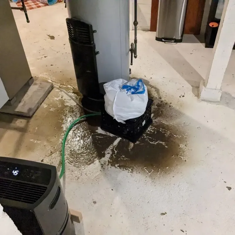 Sewage Backup Cleanup Service in Nevada, MO